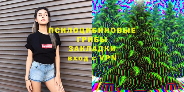 mdpv Кодинск