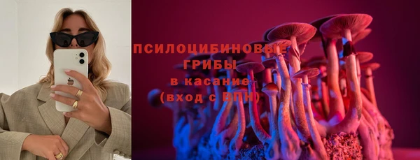 мяу мяу мука Козельск