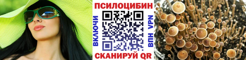 Галлюциногенные грибы прущие грибы Купить Весьегонск