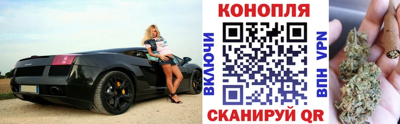 Купить Весьегонск Бошки Шишки ГИДРОПОН